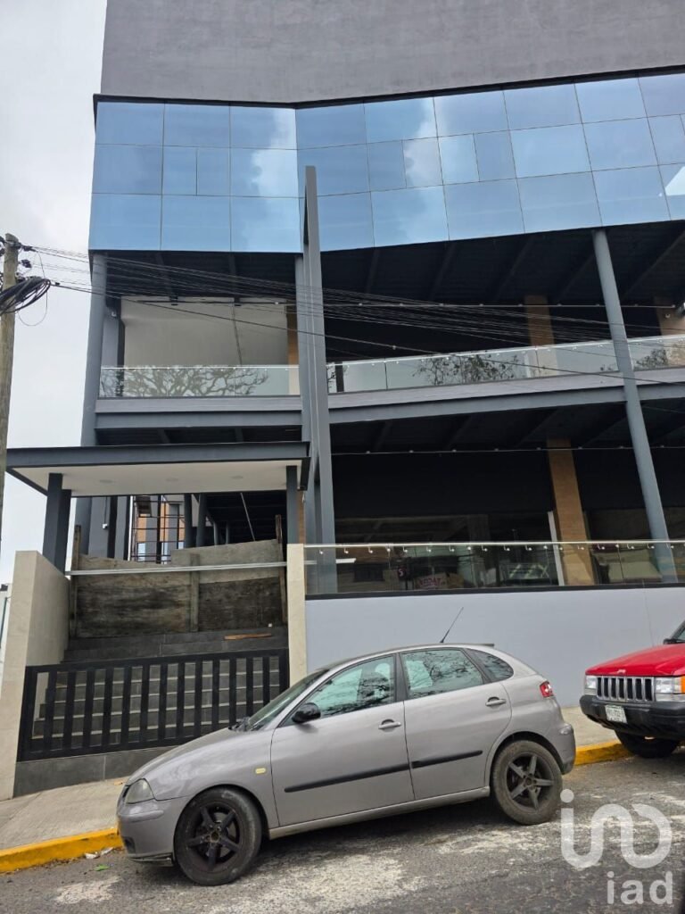 Renta de locales comerciales en plaza nueva en araucarias en Xalapa Veracruz