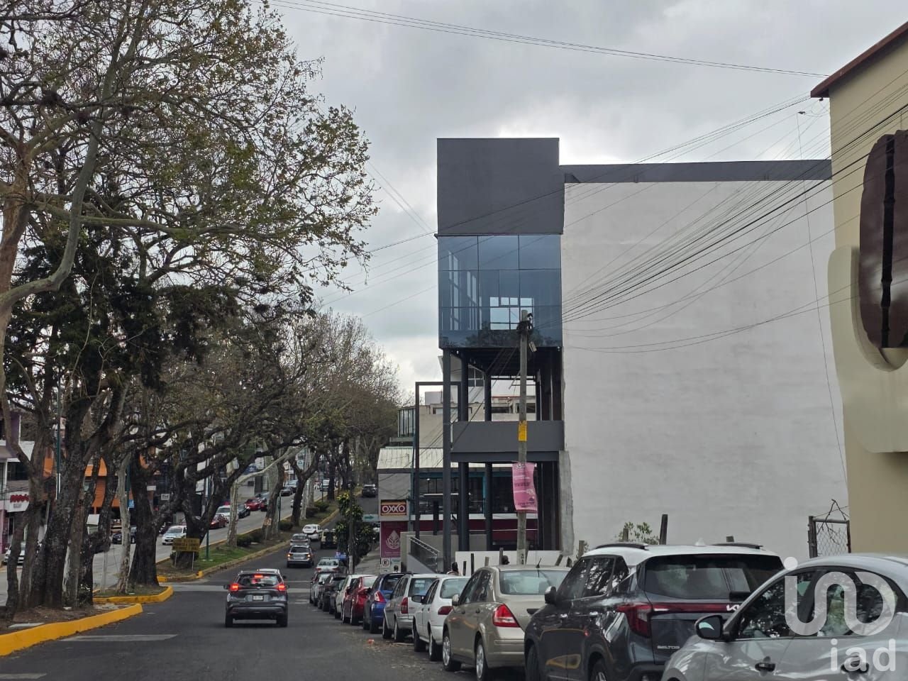 Renta de locales comerciales en plaza nueva en araucarias en Xalapa Veracruz