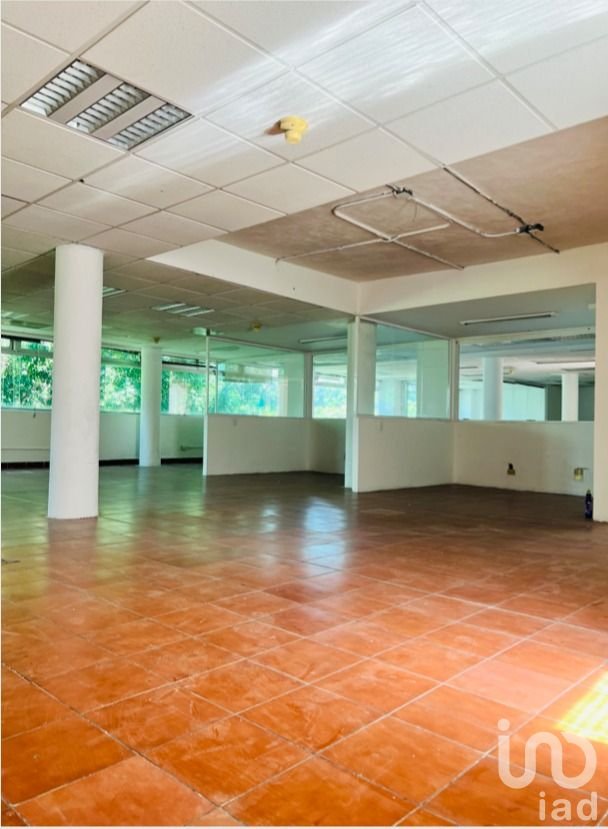 Oficinas en Renta, Col Juárez