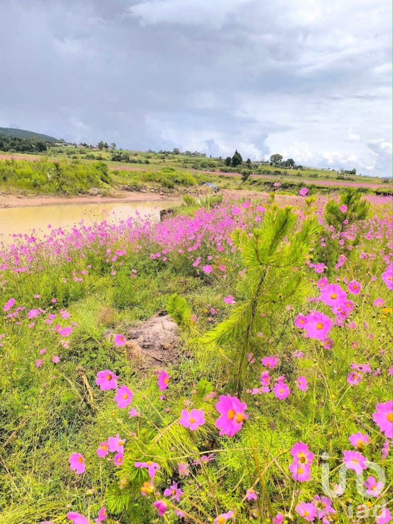 Rancho San Pedro terreno orilla de arrollo