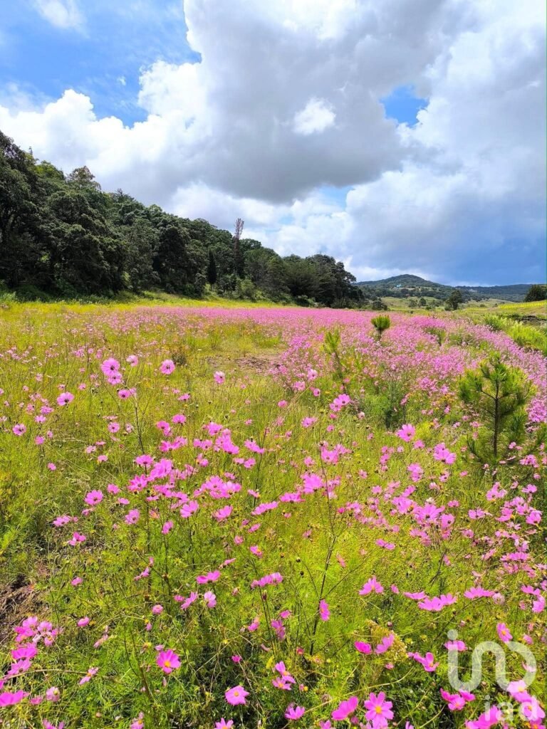 Rancho San Pedro terreno orilla de arrollo