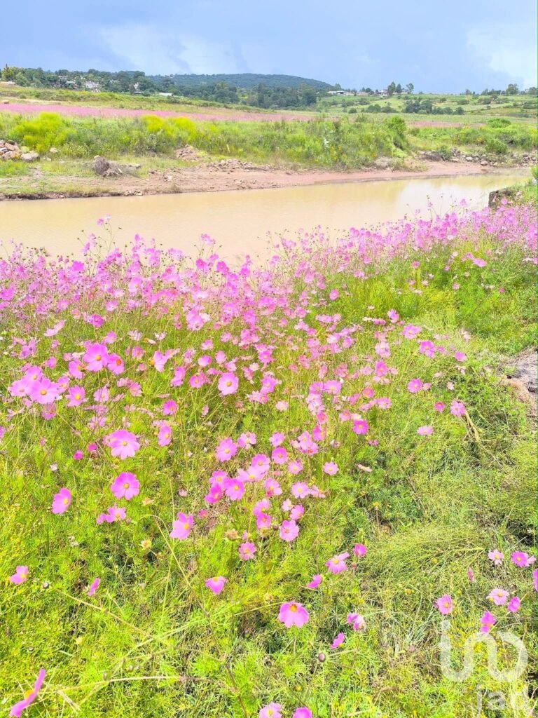 Rancho San Pedro terreno orilla de arrollo