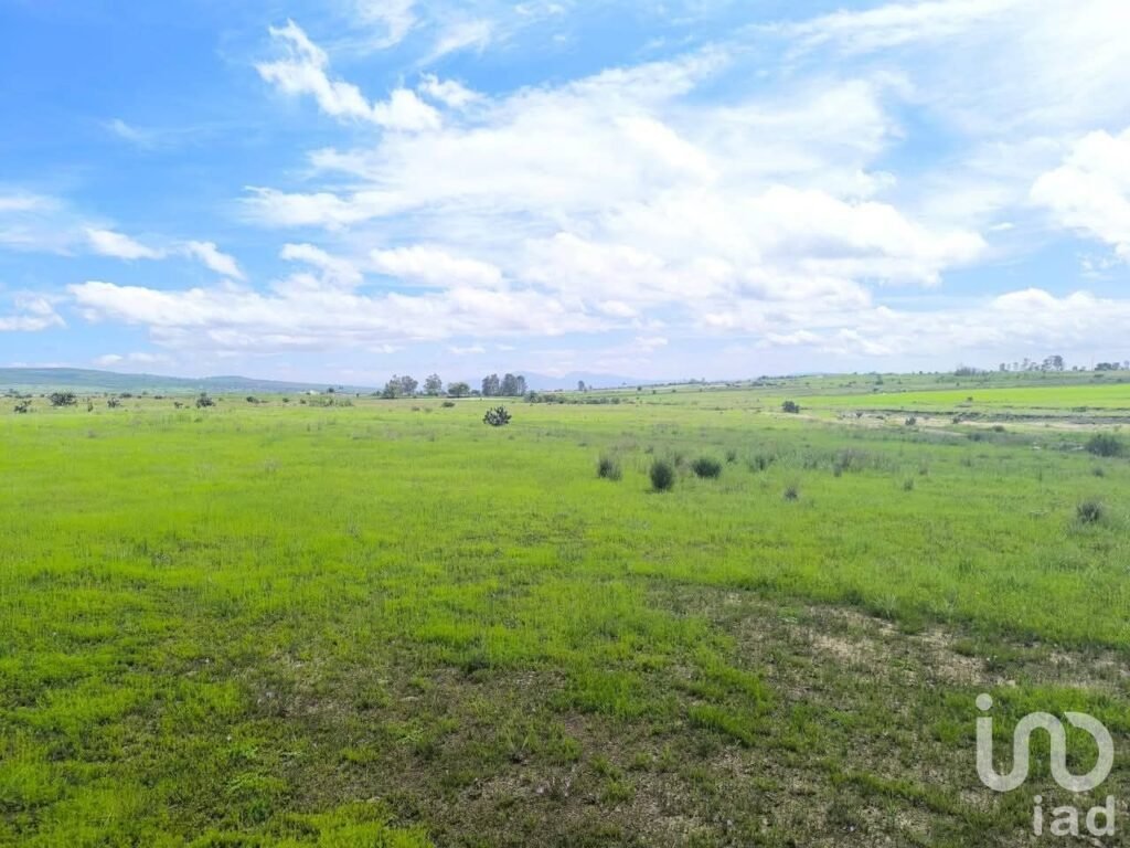 Rancho San Pedro terreno orilla de arrollo