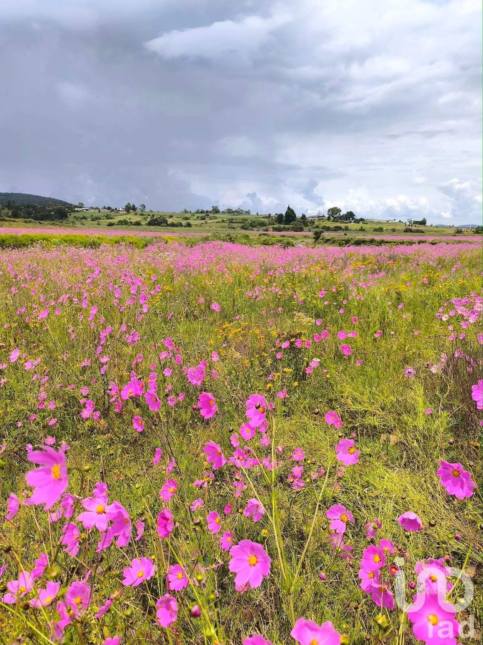 Rancho San Pedro terreno orilla de arrollo