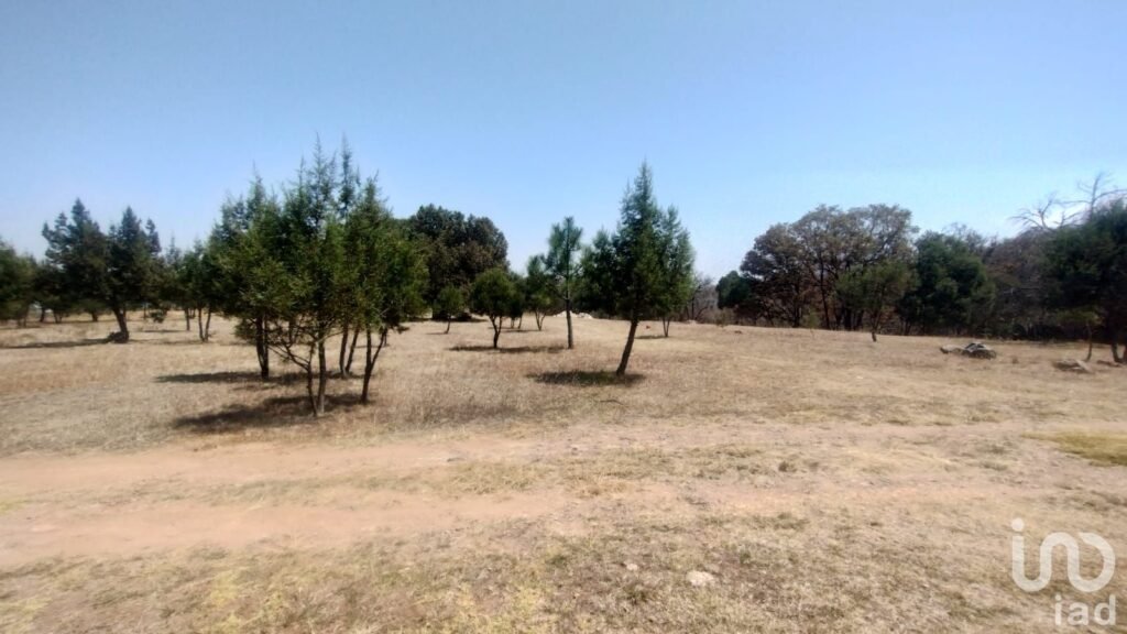 TERRENO CAMPESTRE EN VENTA EN EL BOSQUE DE BERMUDEZ,HUASCA,HIDALGO. - 2340754 terreno en venta terreno campestre en venta en el bosque de bermudezhuascahidalgo 291276