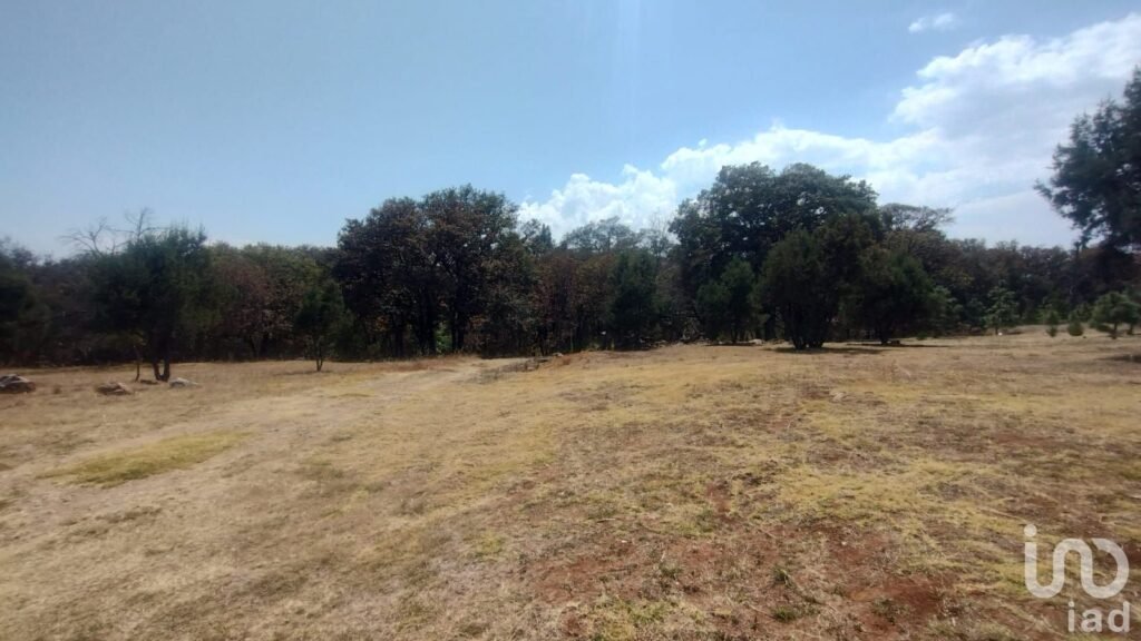 TERRENO CAMPESTRE EN VENTA EN EL BOSQUE DE BERMUDEZ,HUASCA,HIDALGO.