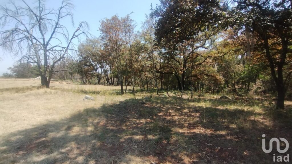 TERRENO CAMPESTRE EN VENTA EN EL BOSQUE DE BERMUDEZ,HUASCA,HIDALGO.