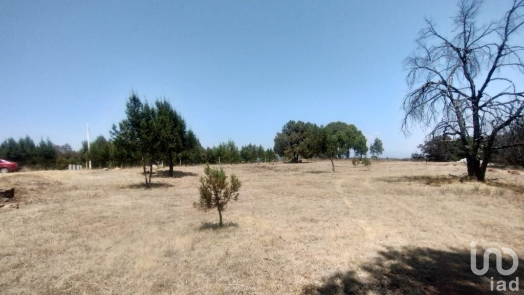 TERRENO CAMPESTRE EN VENTA EN EL BOSQUE DE BERMUDEZ,HUASCA,HIDALGO.