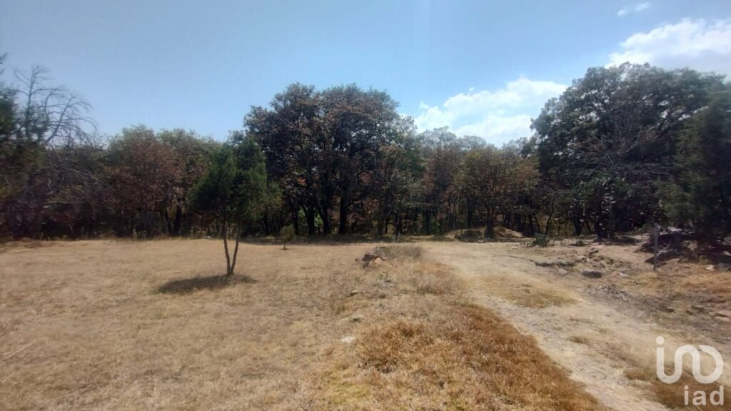 TERRENO CAMPESTRE EN VENTA EN EL BOSQUE DE BERMUDEZ,HUASCA,HIDALGO.