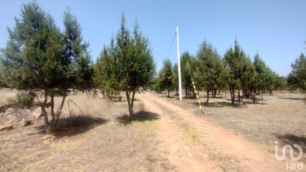 TERRENO CAMPESTRE EN VENTA EN EL BOSQUE DE BERMUDEZ,HUASCA,HIDALGO.