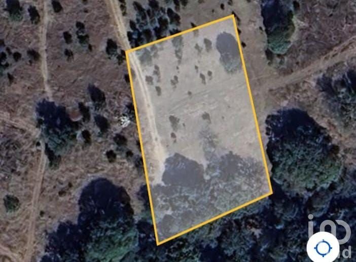 TERRENO CAMPESTRE EN VENTA EN EL BOSQUE DE BERMUDEZ,HUASCA,HIDALGO.