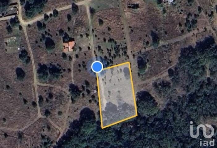 TERRENO CAMPESTRE EN VENTA EN EL BOSQUE DE BERMUDEZ,HUASCA,HIDALGO.