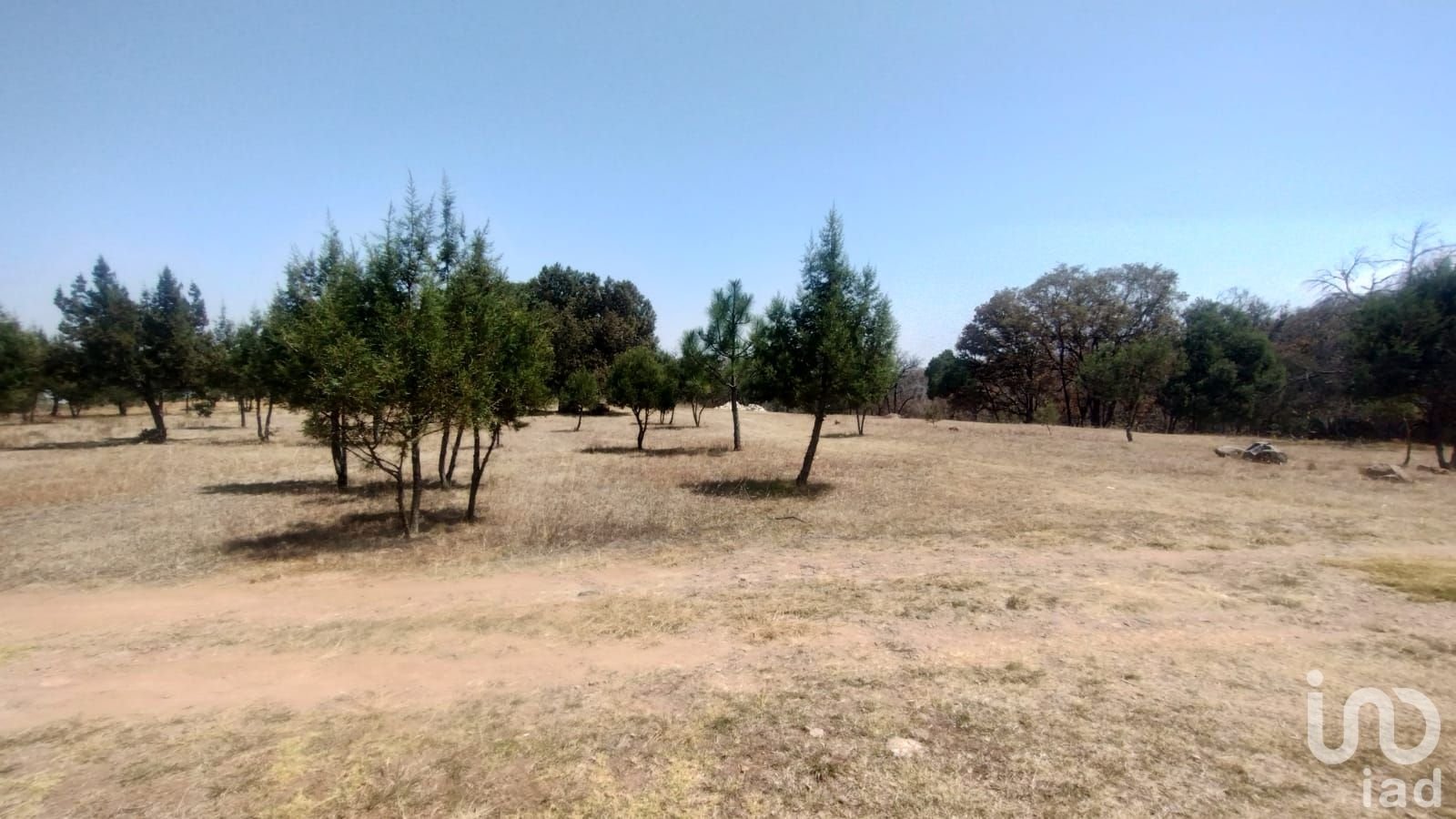 TERRENO CAMPESTRE EN VENTA EN EL BOSQUE DE BERMUDEZ,HUASCA,HIDALGO.