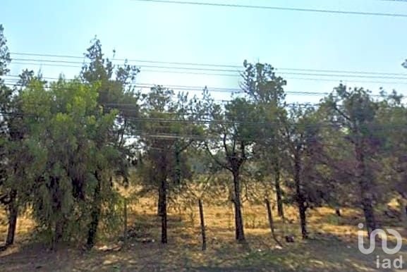 Venta de Terreno en Carretera Federal Mexico Pachuca Venta de Terreno en Carretera Federal Mexico Pachuca