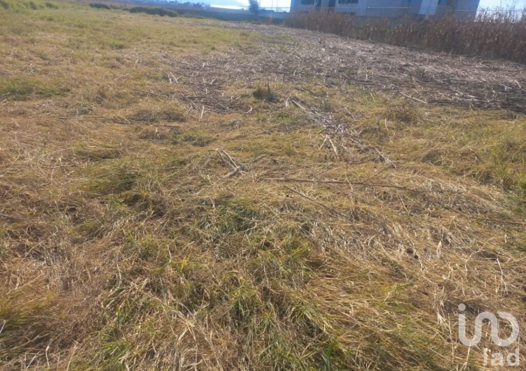 Terreno en Venta  Tlaxcalancingo a un costado del Complejo de Seguridad