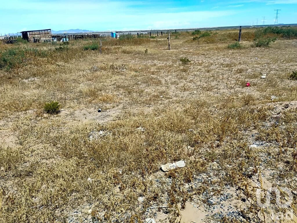 TERRENO EN VENTA EN SAMALAYUCA DE 1000M2 EN OJO DE LA CASA