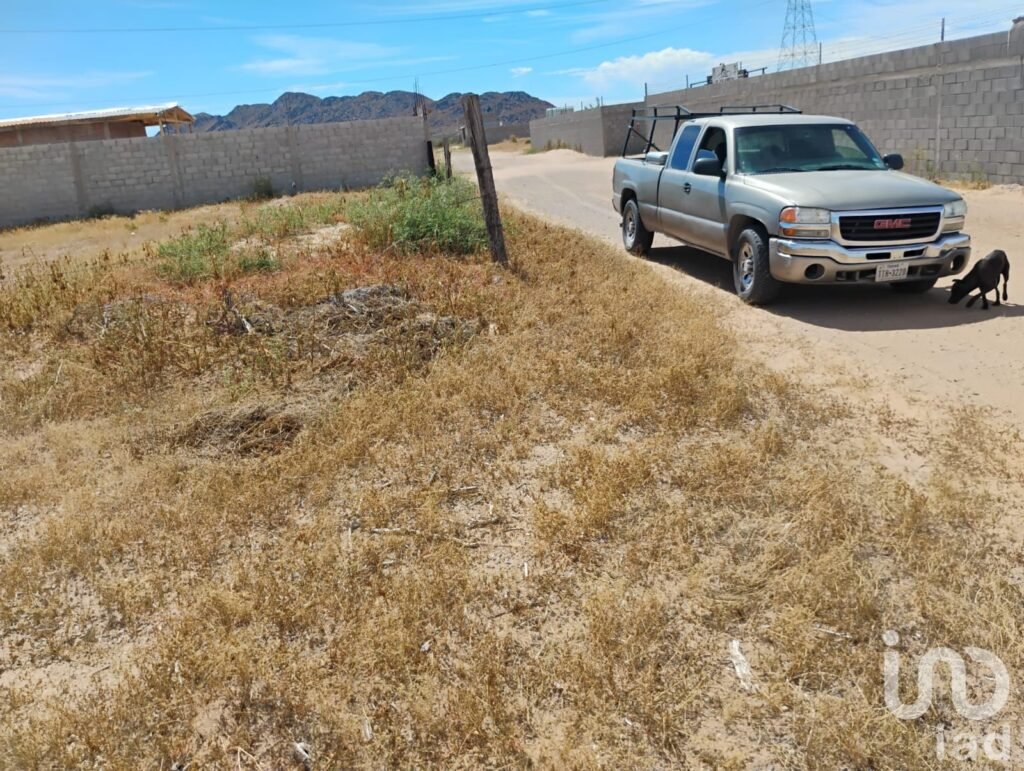 TERRENO EN VENTA EN SAMALAYUCA DE 1000M2 EN OJO DE LA CASA