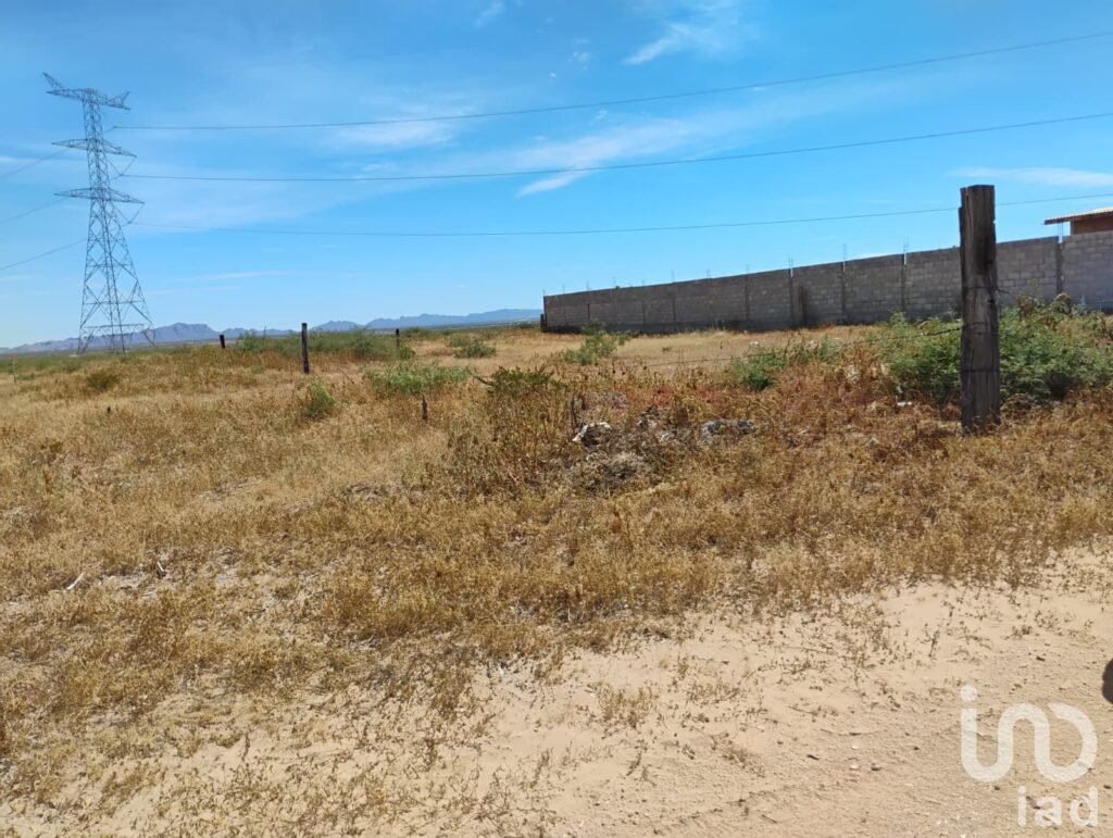 TERRENO EN VENTA EN SAMALAYUCA DE 1000M2 EN OJO DE LA CASA