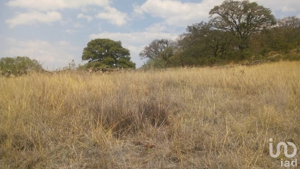 Terreno en Venta en Zehte, Aculco, México