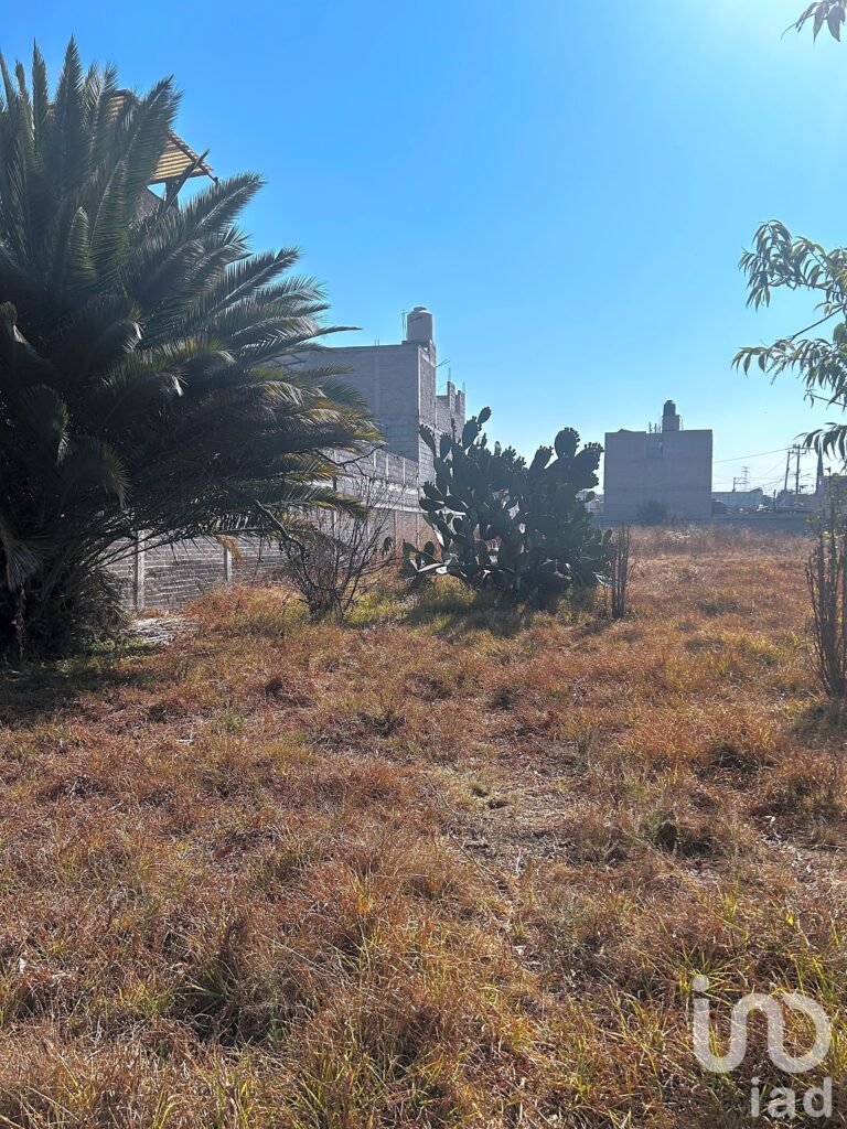 Terreno en Venta en San Vicente Chicoloapan — 2,990 m² - Prolongación Moctezuma