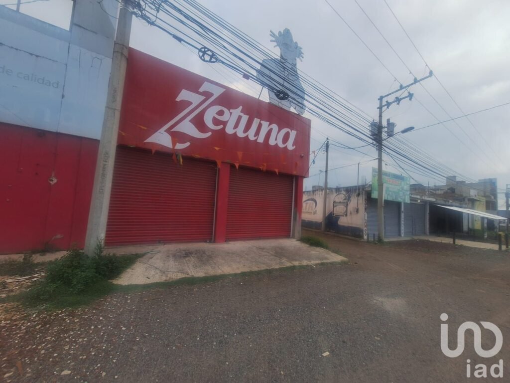 Local en Renta San Cristóbal Tepatlaxco Municipio de San Martin Texmelucan Puebla