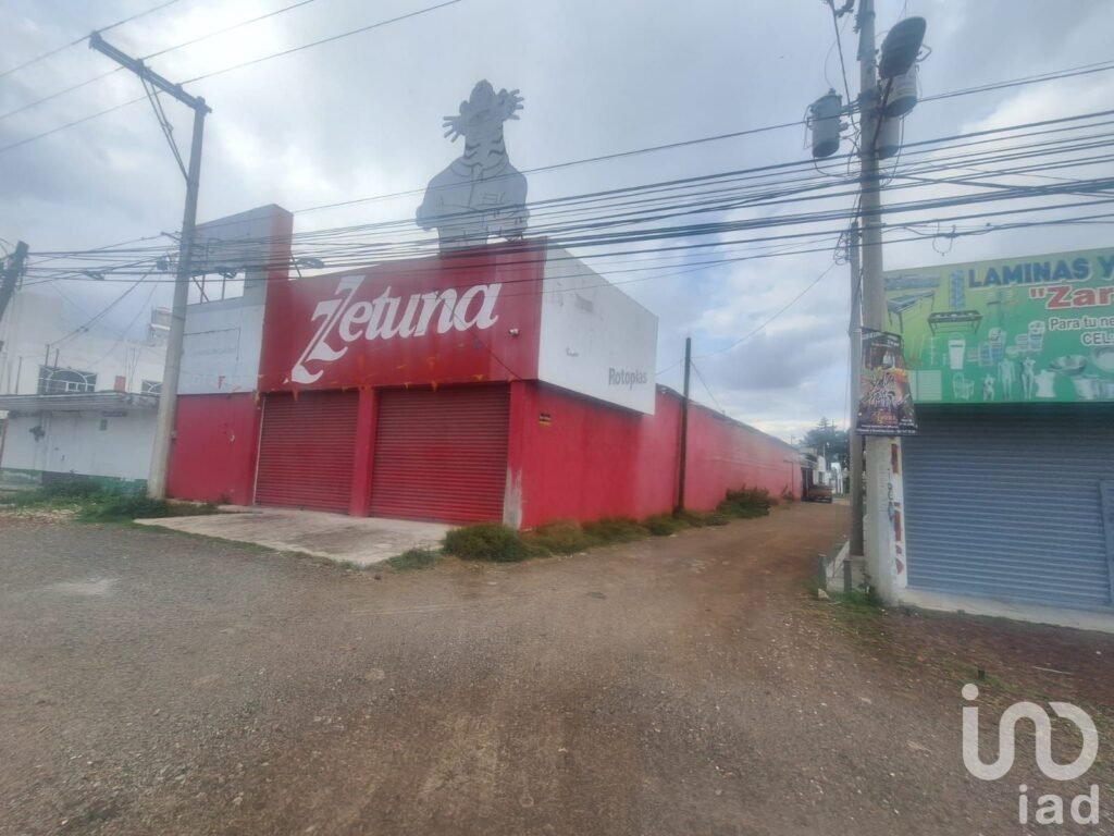 Local en Renta San Cristóbal Tepatlaxco Municipio de San Martin Texmelucan Puebla - 2342643 local en renta local en renta san cristobal tepatlaxco municipio de san martin texmelucan puebla 260074