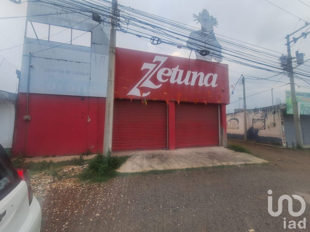 Local en Renta San Cristóbal Tepatlaxco Municipio de San Martin Texmelucan Puebla