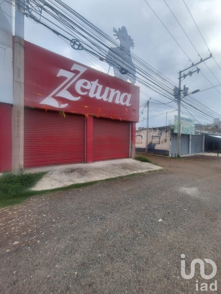 Local en Renta San Cristóbal Tepatlaxco Municipio de San Martin Texmelucan Puebla