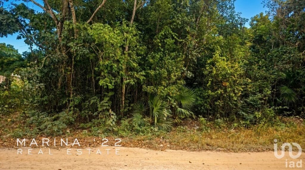 TERRENO EN VENTA EN CANCÚN, 264 m²,  ZONA HUAYACÁN,  ESCRITURADO - LAND FOR SALE IN CANCUN, 2,846 SF