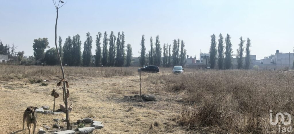 OPORTUNIDAD DE TERRENO EN TEXCOCO TOCUILA 1 HECTAREA