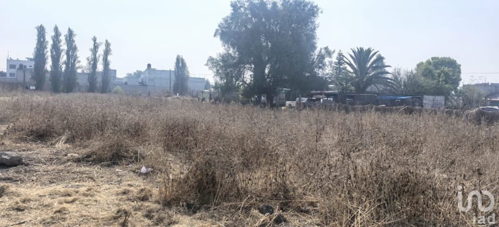 OPORTUNIDAD DE TERRENO EN TEXCOCO TOCUILA 1 HECTAREA