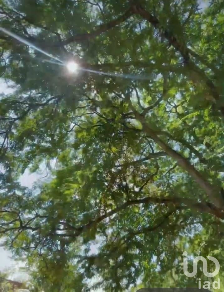 Venta de Terreno en Merida Yucatan