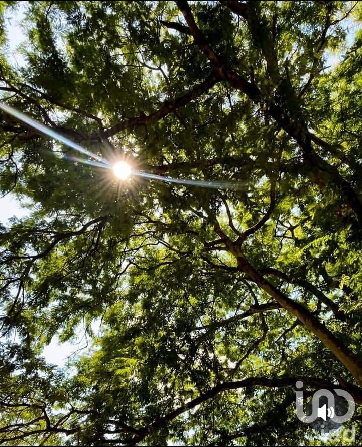 Venta de Terreno en Merida Yucatan