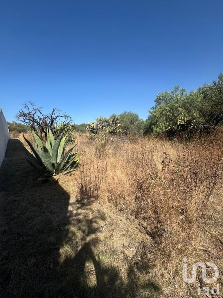 Amanali Terreno en Venta