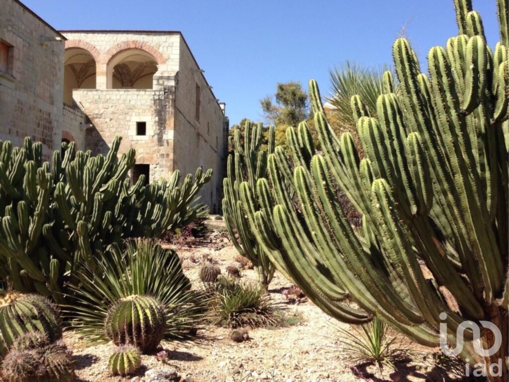ÚLTIMO DEPARTAMENTO NUEVO EN VENTA EN EL CORAZÓN DEL CENTRO HISTÓRICO DE OAXACA CON TERRAZA PRIVADA