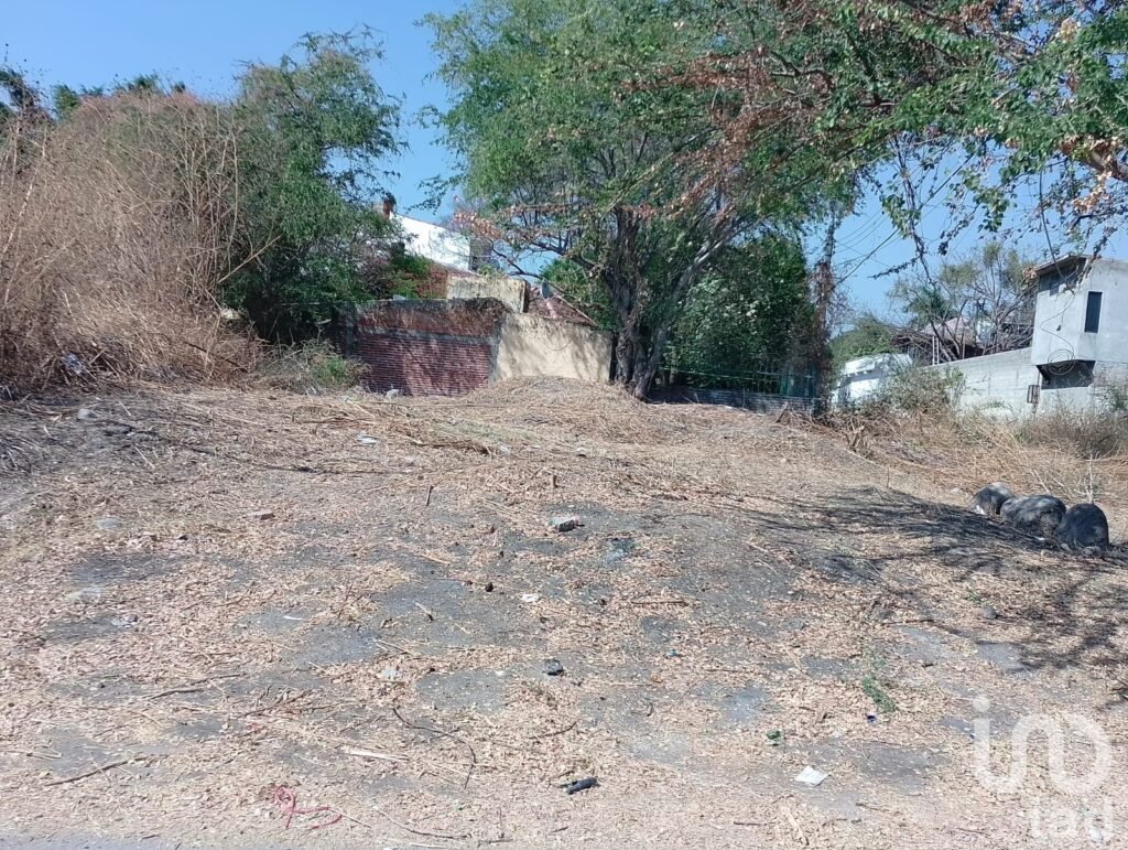 VENTA DE TERRENO AV. CRISANTEMOS COL. OBRERO POPULAR DEL REAL DELPUENTE XOCHITEPEC MORELOS