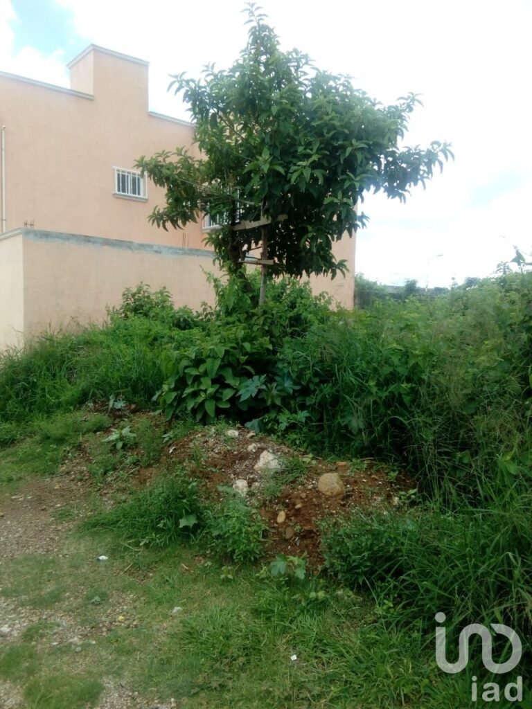 VENTA DE TERRENO AV. CRISANTEMOS COL. OBRERO POPULAR DEL REAL DELPUENTE XOCHITEPEC MORELOS