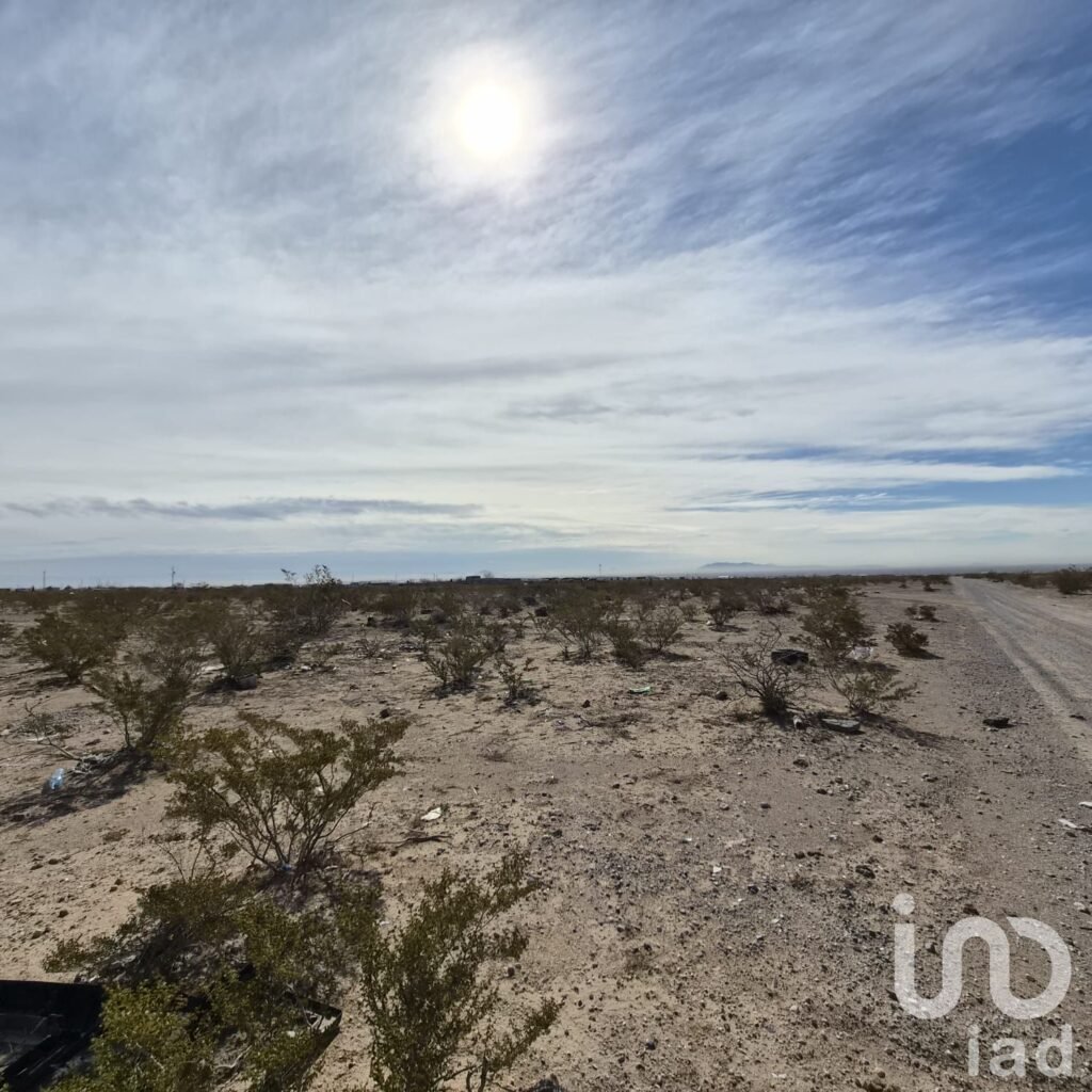 TERRENO KILOMETRO 27 A 2 MINUTOS DE LA CARRETERA A CASAS GRANDES