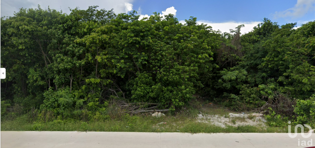 ¡Terreno uso mixto para desarrolladores e inversionistas visionarios!