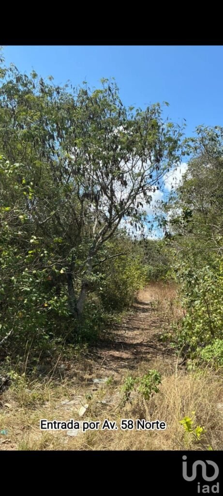 ¡Terreno uso mixto para desarrolladores e inversionistas visionarios!