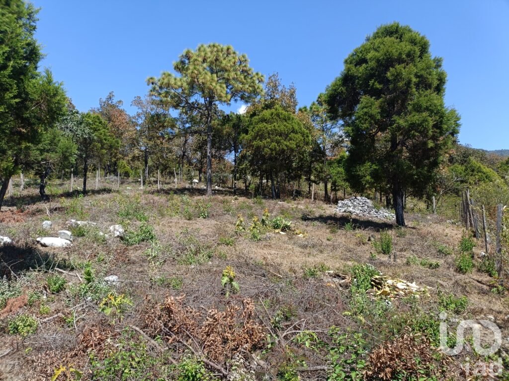 Terreno en Venta de 900 m2 enTeopisca Chiapas