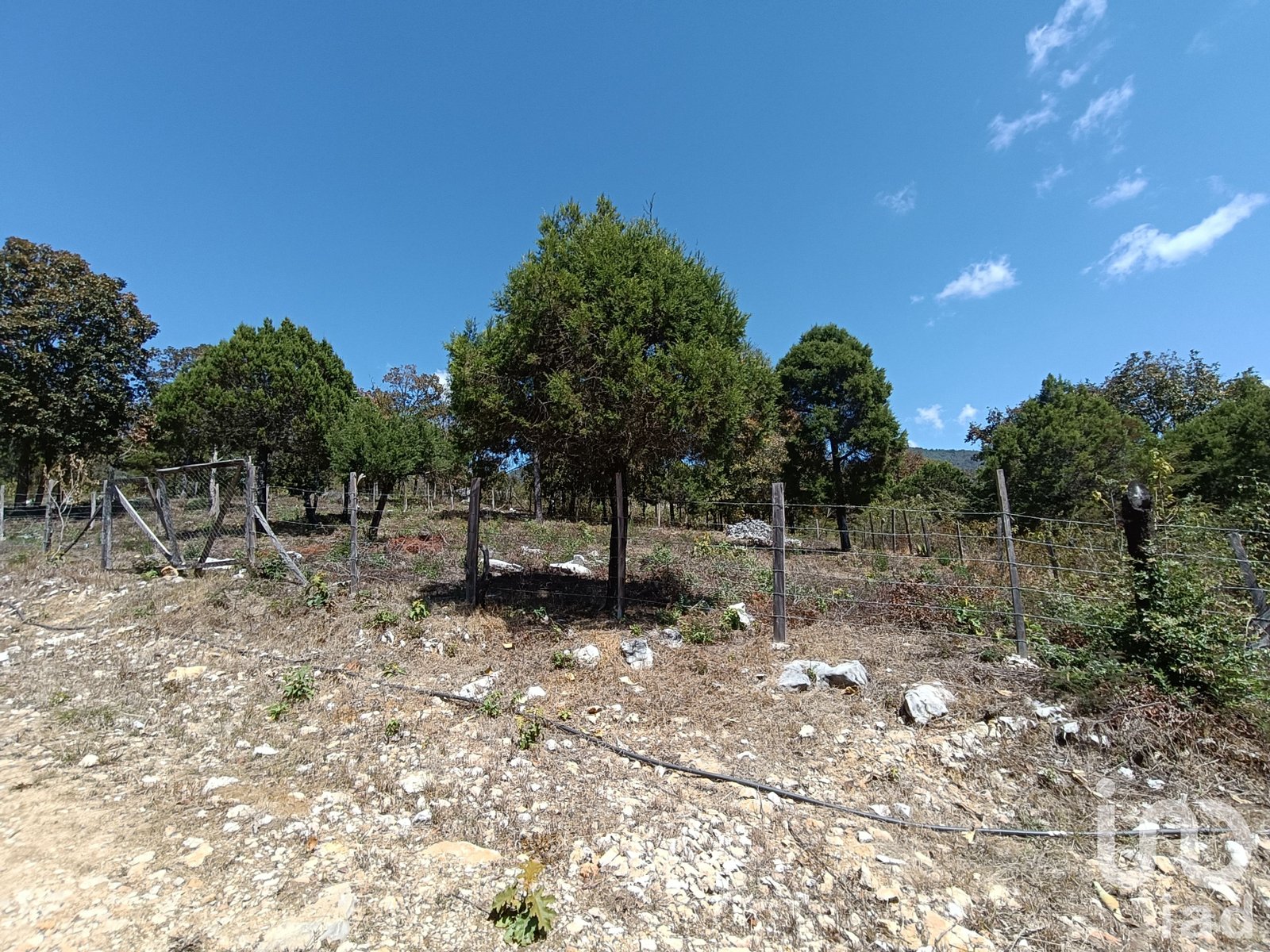 Terreno en Venta de 900 m2 enTeopisca Chiapas