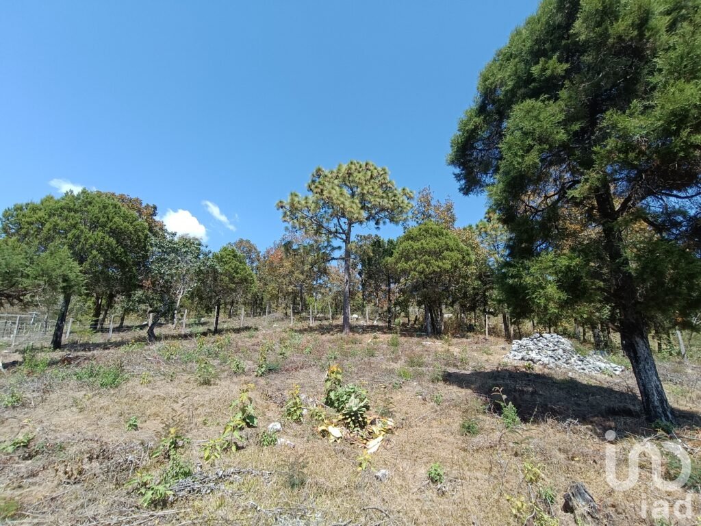 Terreno en Venta de 900 m2 enTeopisca Chiapas