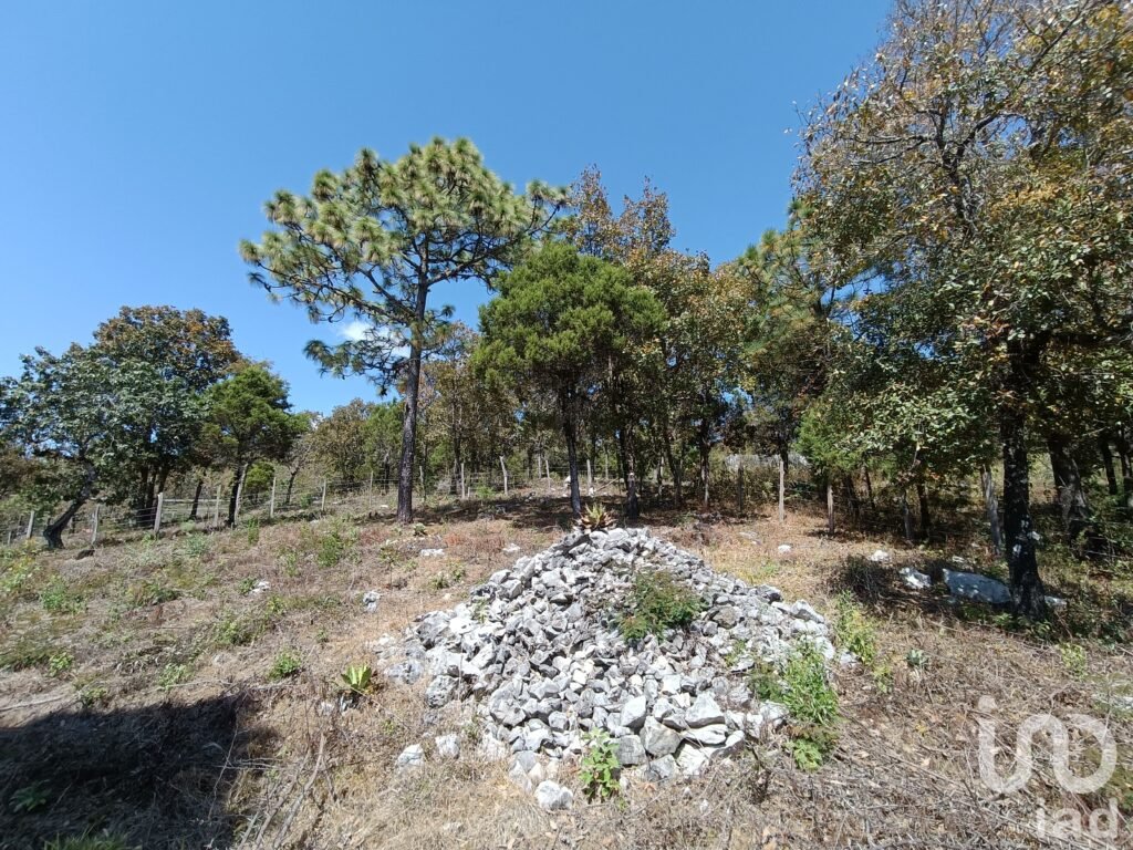 Terreno en Venta de 900 m2 enTeopisca Chiapas