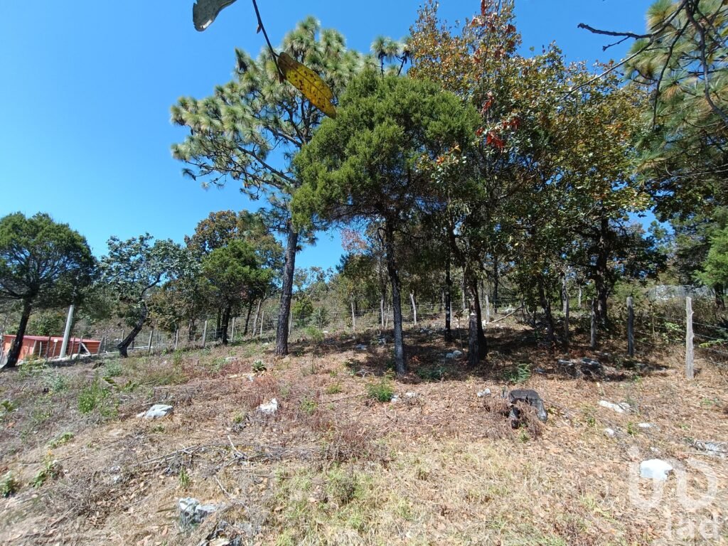Terreno en Venta de 900 m2 enTeopisca Chiapas