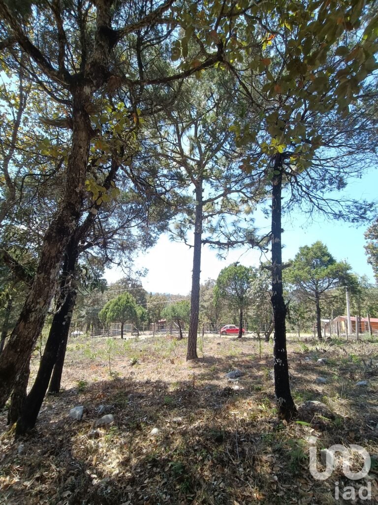 Terreno en Venta de 900 m2 enTeopisca Chiapas