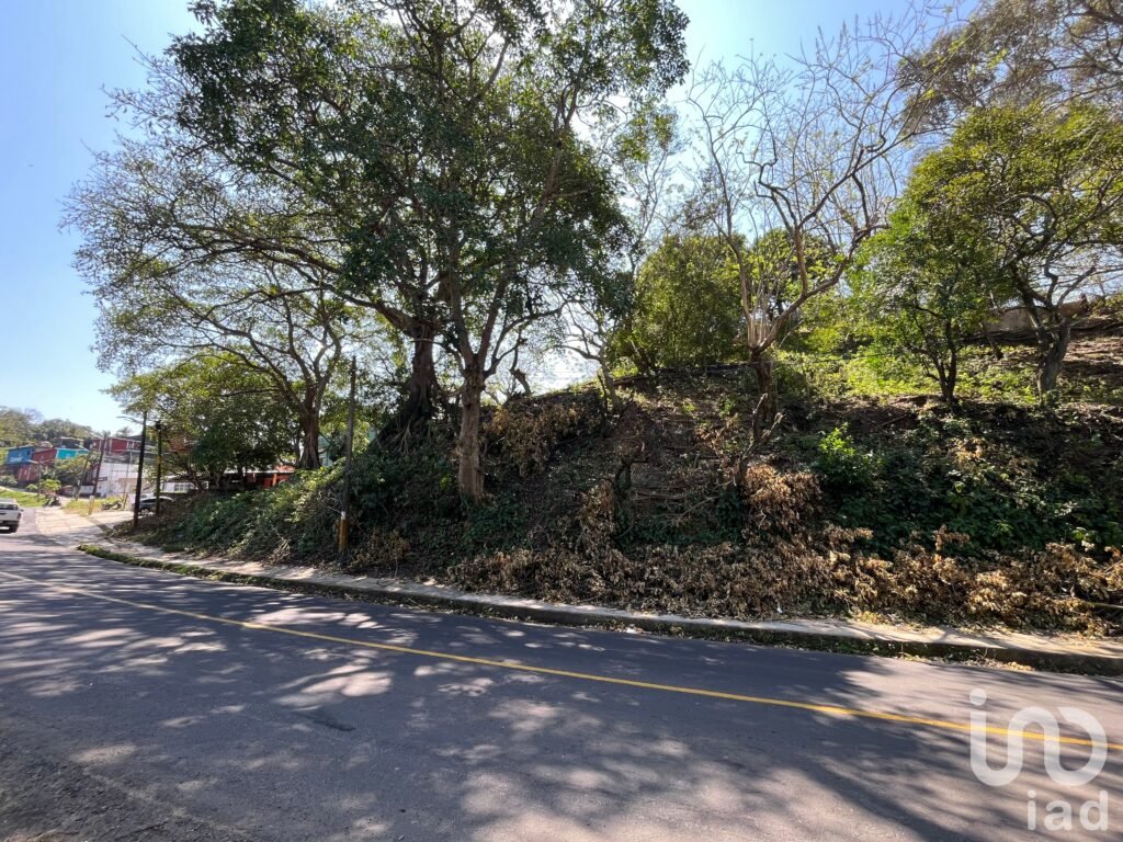 Terreno 3,835 m2 con restaurante y potencial turístico en Santiago Tuxtla, Veracruz