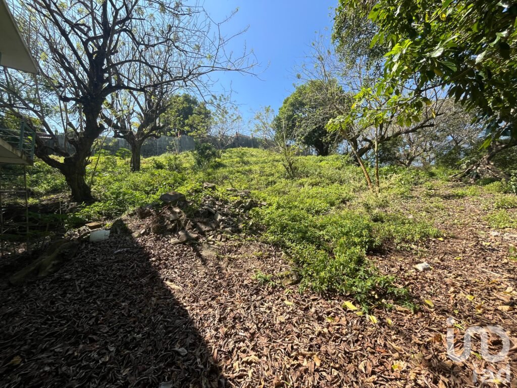 Terreno 3,835 m2 con restaurante y potencial turístico en Santiago Tuxtla, Veracruz