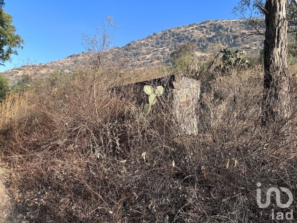 Terreno en Venta "La Purificación Tepetitla", Texcoco.