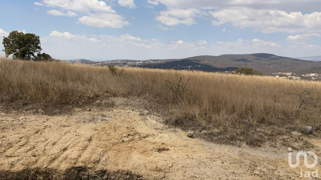 Venta de terreno en Haras Flor del Bosque Amozoc Puebla